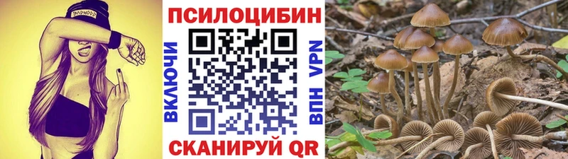 наркотики  гидра tor  Галлюциногенные грибы мицелий  Владимир 